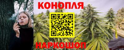 наркотики Новодвинск